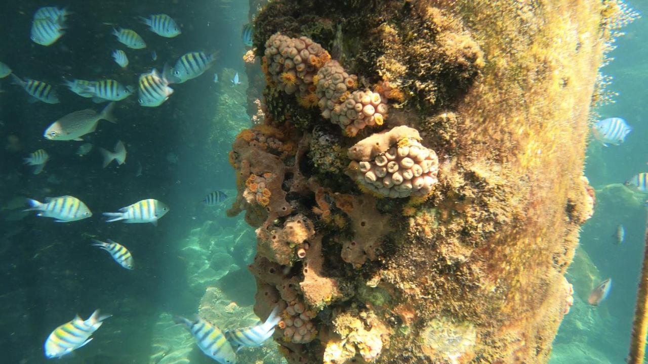 Pousada Conves - Ilha Grande Praia de Araçatiba Exterior foto