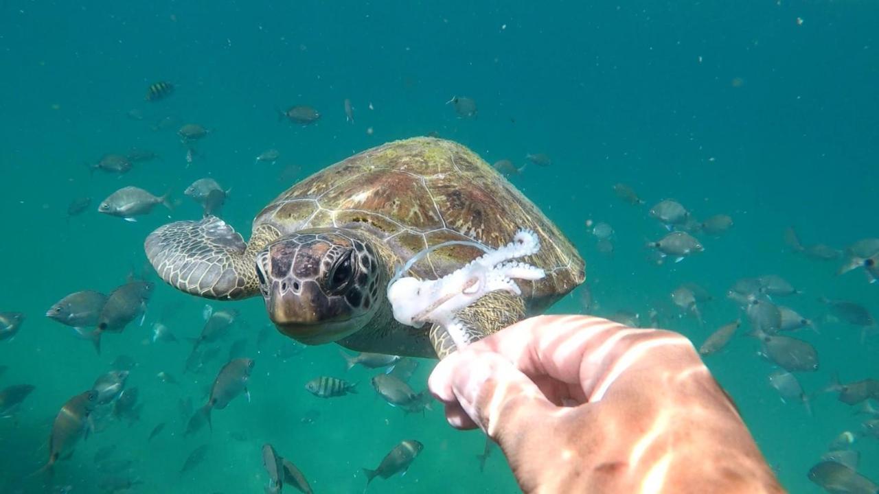 Pousada Conves - Ilha Grande Praia de Araçatiba Exterior foto